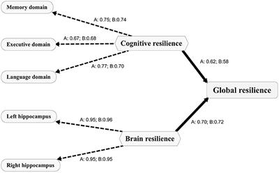 Resilience to Plasma and Cerebrospinal Fluid Amyloid-β in Cognitively Normal Individuals: Findings From Two Cohort Studies